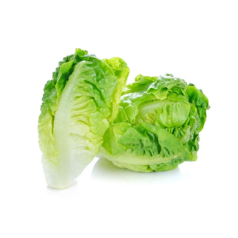 Lettuce Baby Cos Each