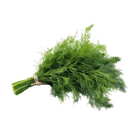 Dill Bunch