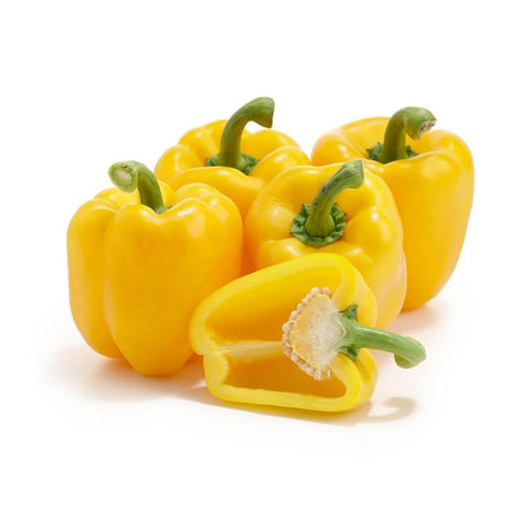 Capsicum Yellow Each