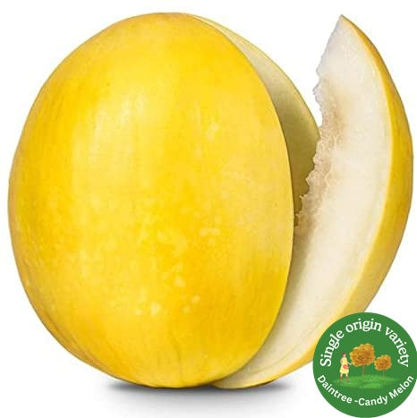 Yellow Candy Melon