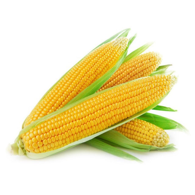 Corn Local in a Husk X 3 – DimplesAU