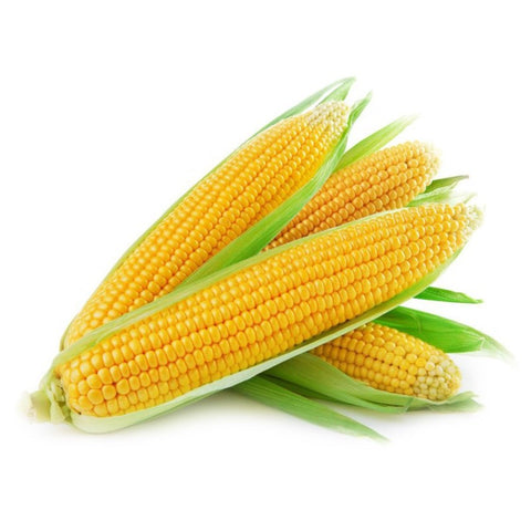 Corn Local in a Husk X 3