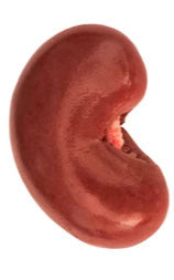 Organic Lamb Kidney 125g